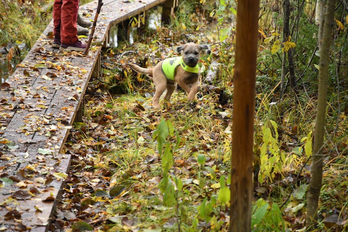Looma käitumisnõustamine Tartus.